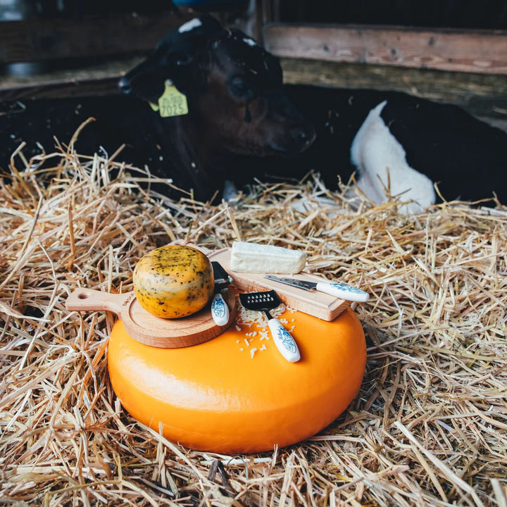 Cuțit pentru brânzeturi semi-moi Mini Delft Blue